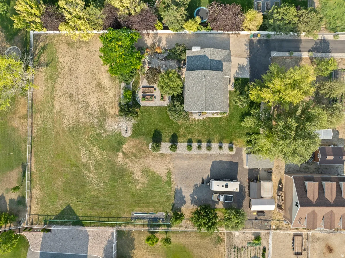 Expansive property featuring a large grass area, mature trees, a gravel driveway, and a residential structure with a gray shingle roof