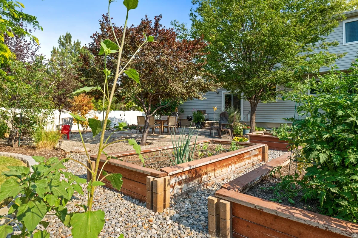 Backyard with multiple wooden raised garden beds, a gravel pathway, and mature trees