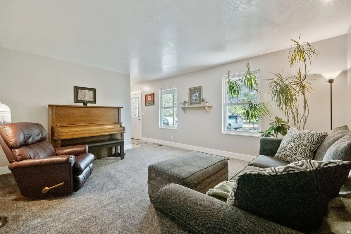 Spacious living area featuring neutral-toned walls, plush grey carpeting, two large windows with white trim, and white baseboards