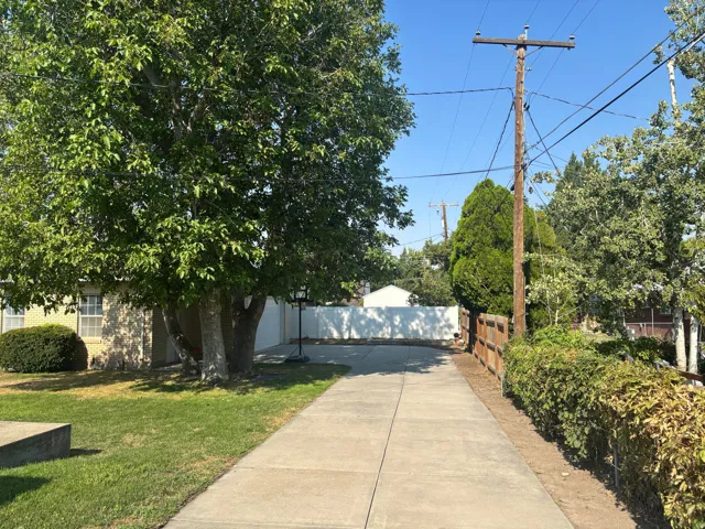 Charming residential driveway featuring a wide concrete approach, mature shade trees, and established hedging