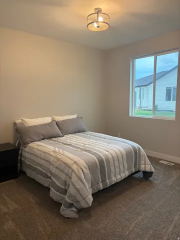 Neutral tone wall finishes, ceiling-mounted light fixture, large window, and carpeted flooring