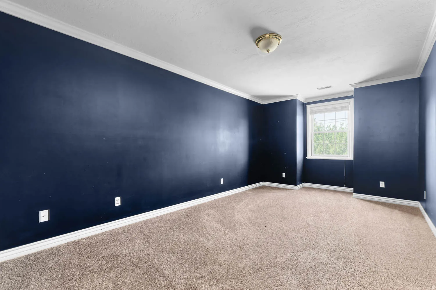Carpeted interior room featuring deep blue walls and white crown molding