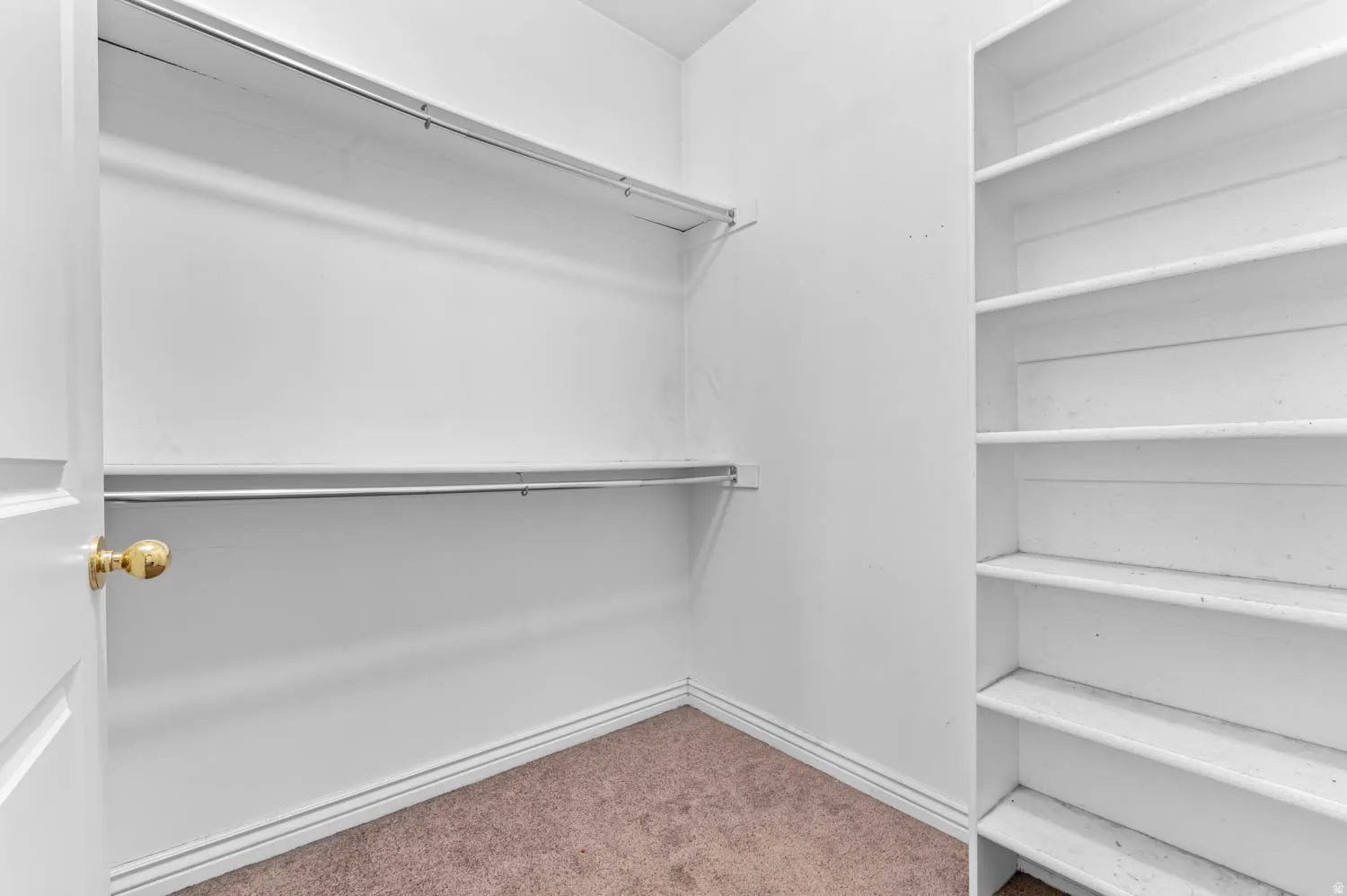 Walk-in closet featuring built-in shelving, dual hanging rods, and carpet flooring