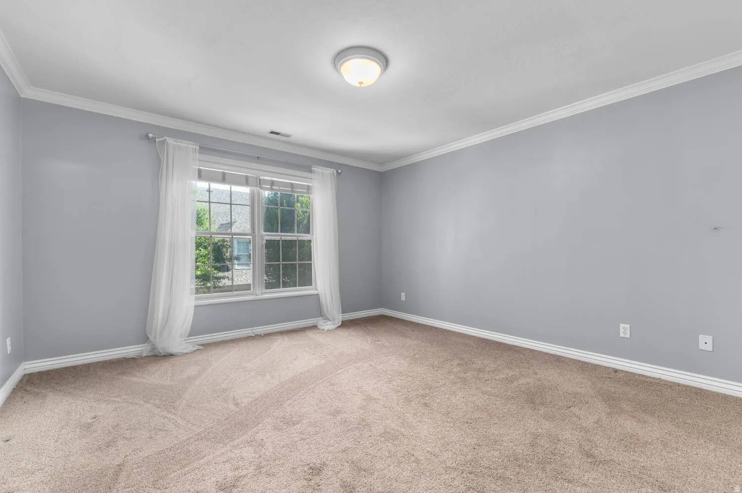 Carpeted room featuring a double window with grid panes, crown molding, baseboards, and a flush mount ceiling light