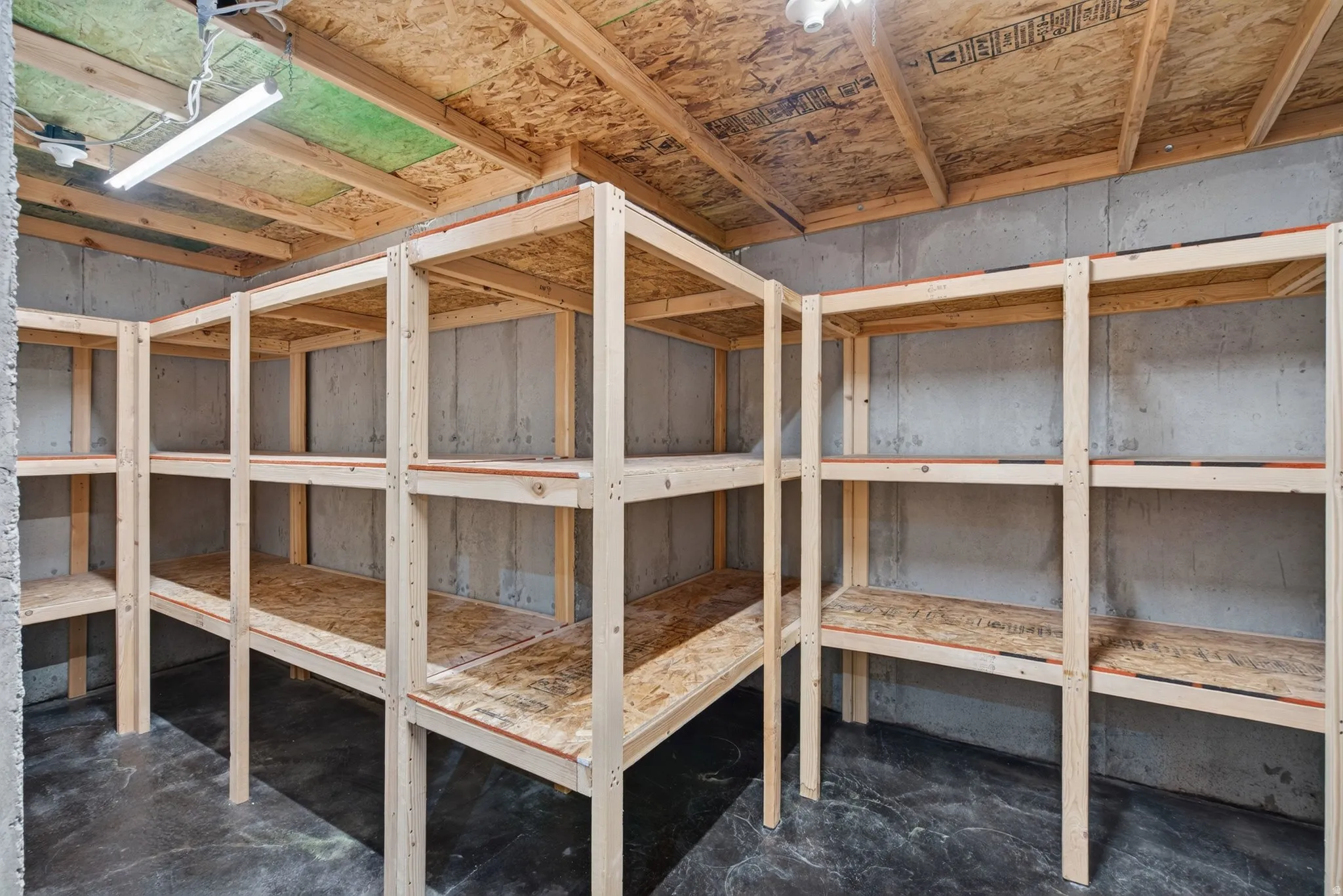 Extensive built-in wood shelving system providing ample cold storage, concrete floor, concrete walls, and exposed wood ceiling joists