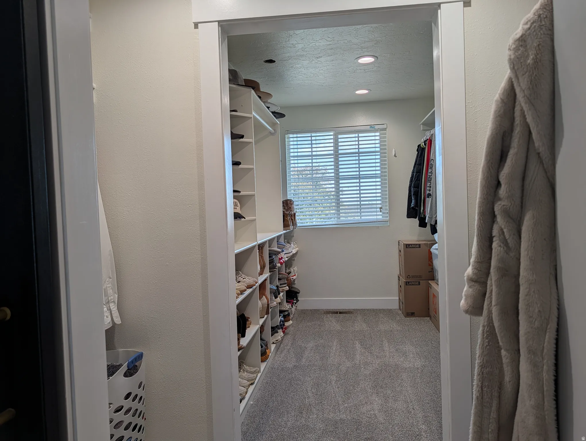 Walk-in closet with built-in shelving, carpeted flooring, recessed lighting, and a window with horizontal blinds