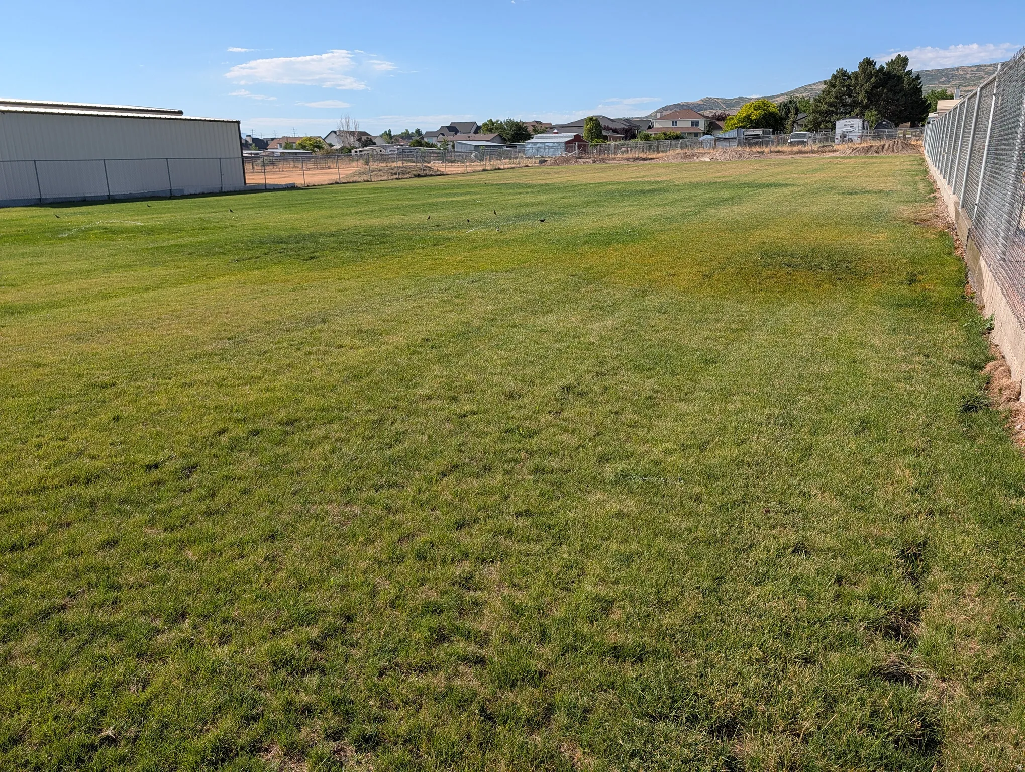 Expansive green lawn/ball field area featuring a chain-link fence border and a large metal-sided building in the background