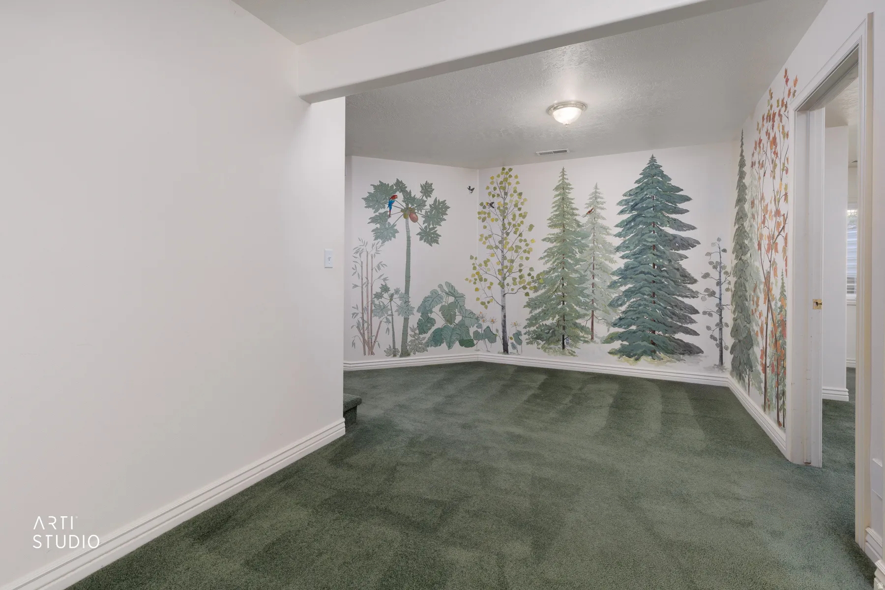 Basement hall with murals featuring green carpeting and white baseboards