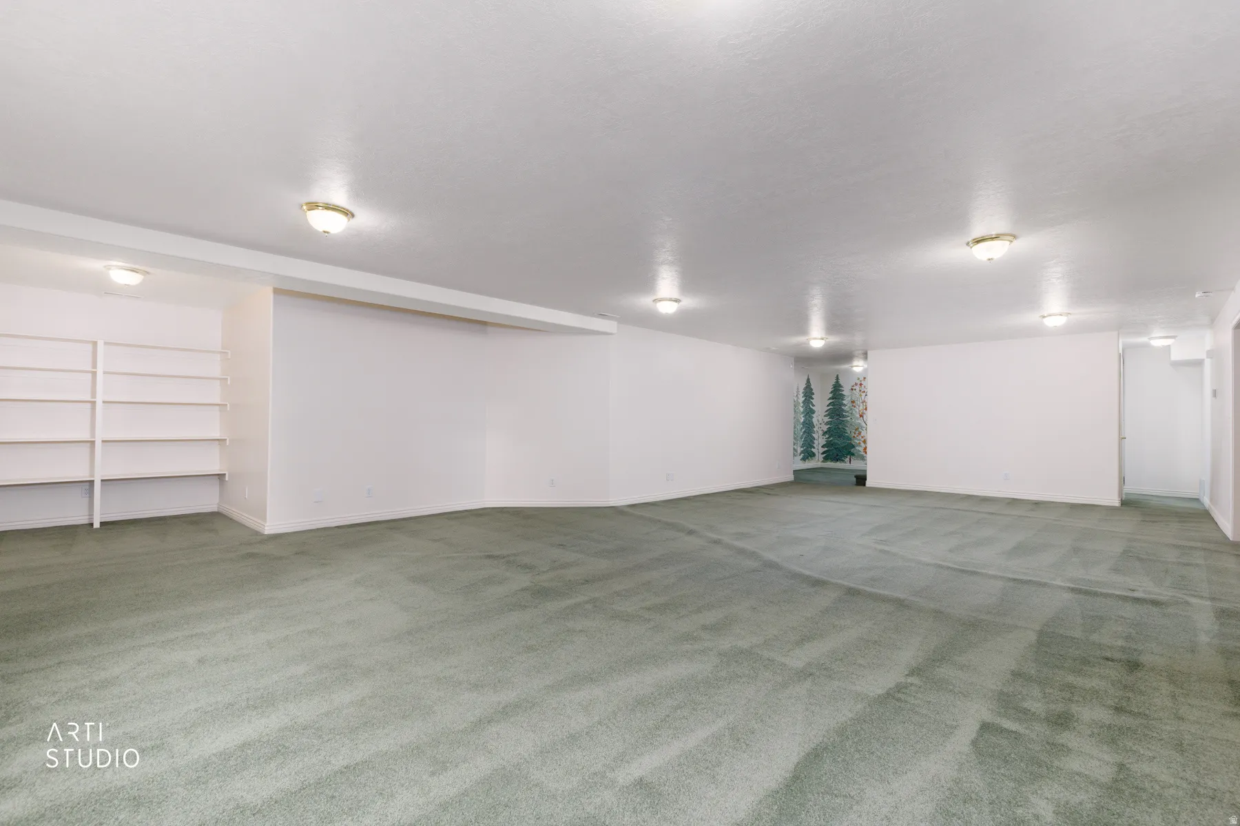 Spacious room featuring broadloom carpet, built-in shelving, recessed wall art, and multiple flush-mount ceiling lights