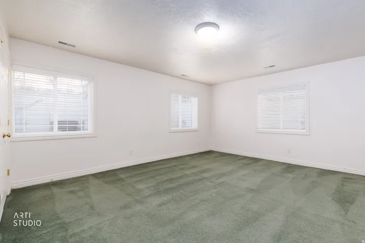 Spacious room with plush green carpeting, multiple windows, white baseboards, and a flush-mount ceiling light