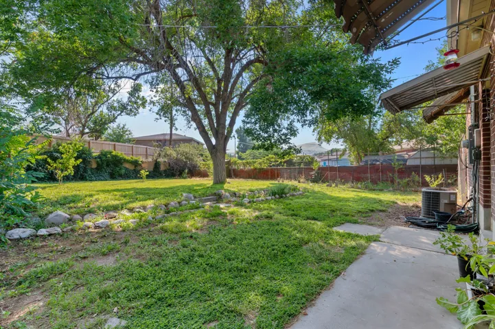 Spacious backyard featuring a prominent mature tree, a concrete patio, a rock-lined garden bed, and wood-fencing