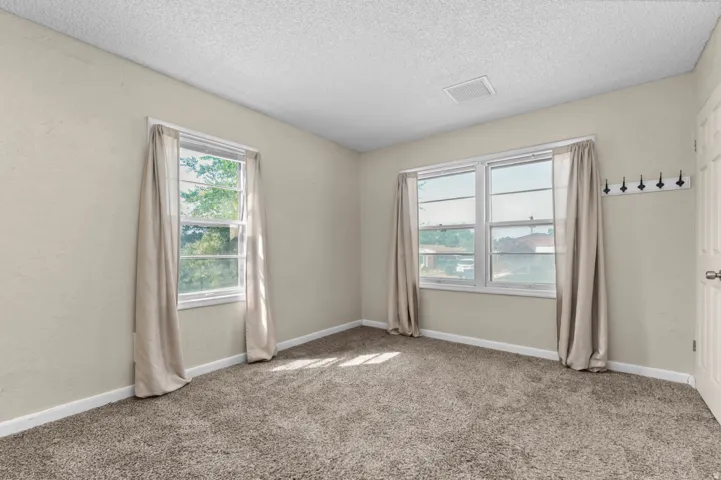 Carpeted room featuring a white paneled door, two double-hung windows with neutral curtains, a ceiling-mounted vent, and a wall-mounted coat rack