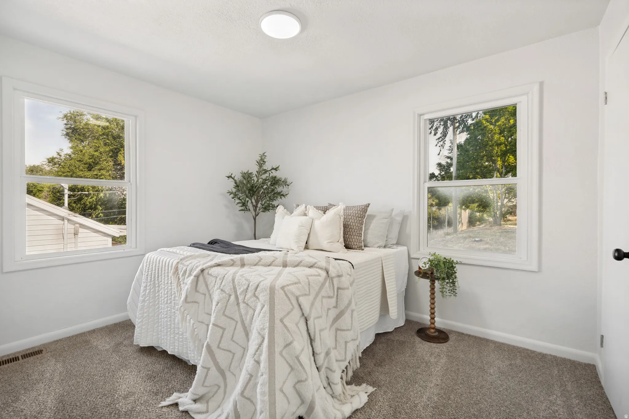 Bright room featuring two large windows, white walls, textured carpeting, and a flush-mount ceiling light