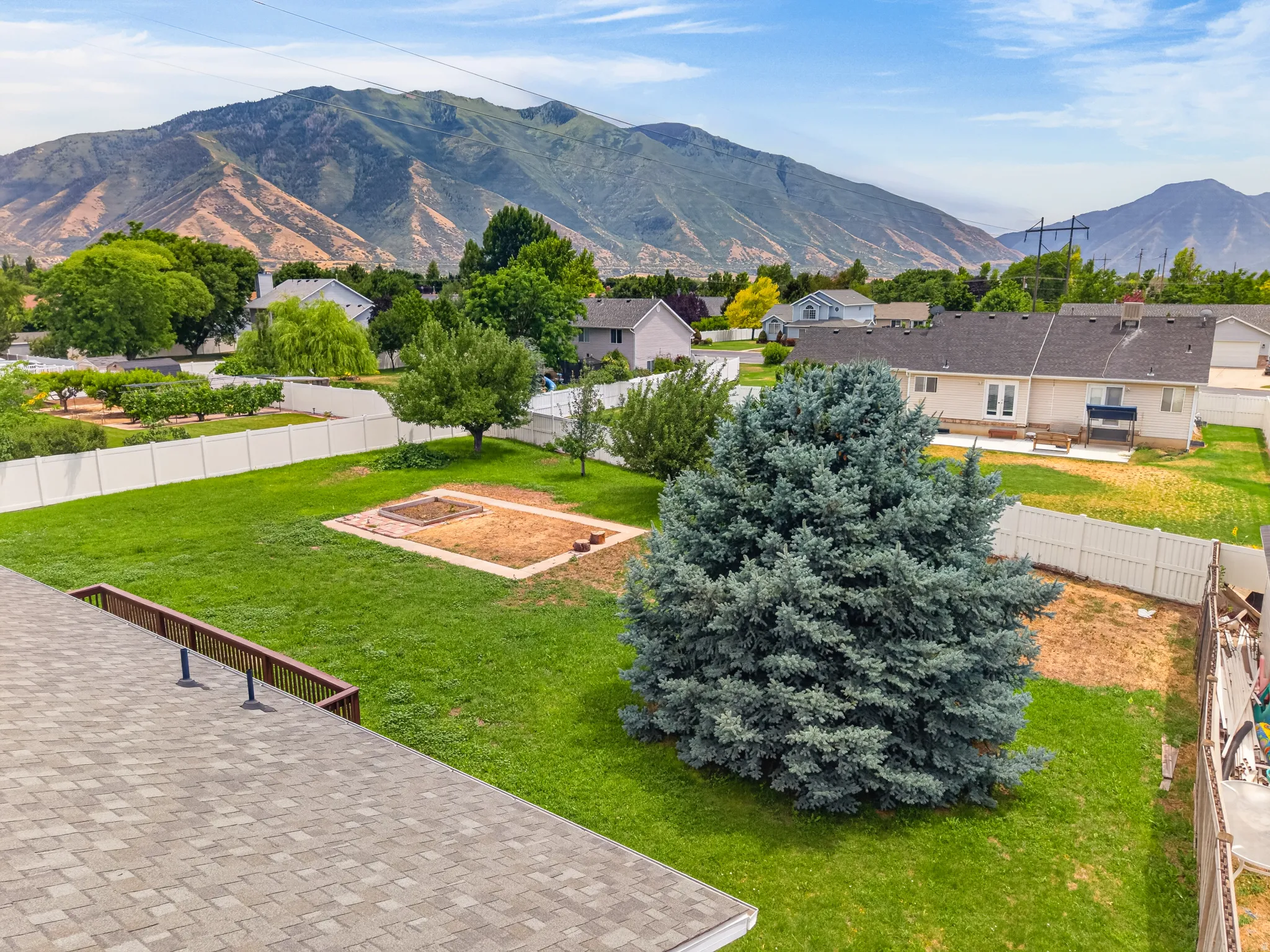 Expansive backyard with a large evergreen tree, green lawn, and garden bed area