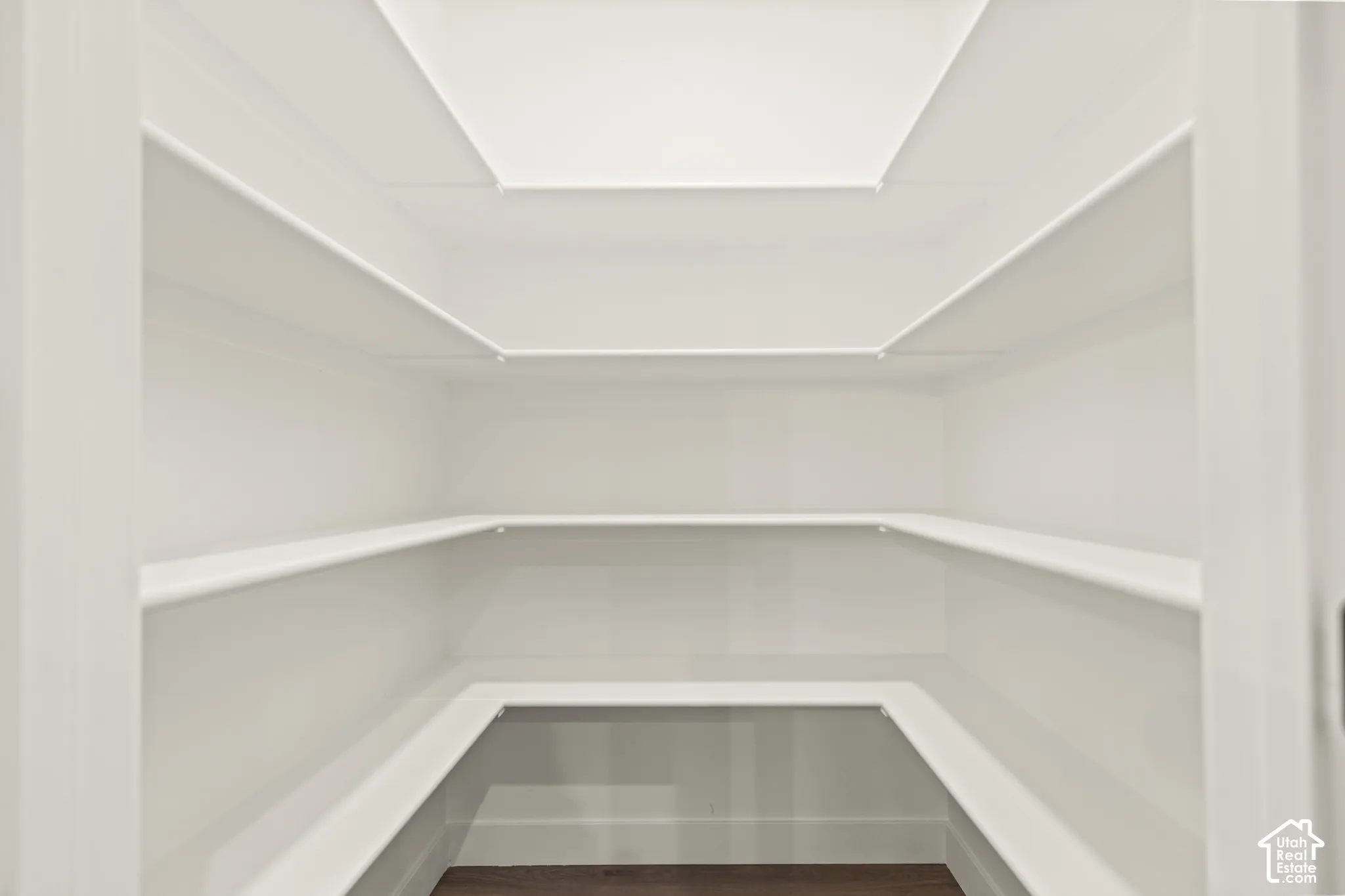 Walk-in pantry with extensive built-in shelving, bright white walls, and wood-finish flooring