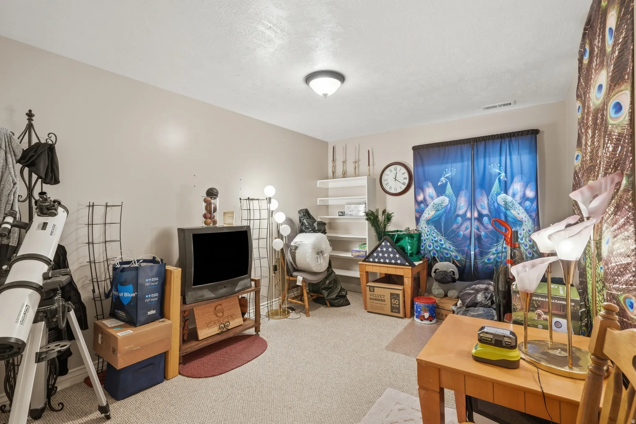Carpeted room featuring a ceiling-mounted light fixture, neutral wall finishes, built-in shelving, and a window with custom drapery