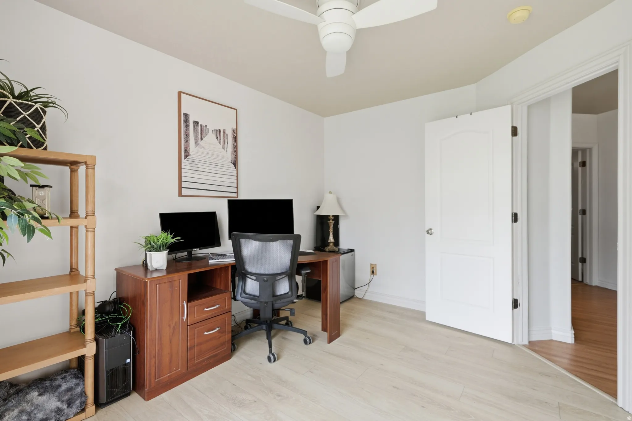 Bright interior space featuring light wood-finish flooring, a white ceiling fan, and a white paneled door