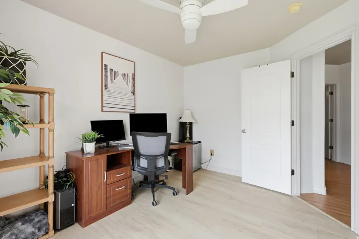 Bright interior space featuring light wood-finish flooring, a white ceiling fan, and a white paneled door