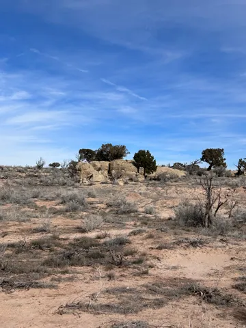 Expansive desert landscape featuring natural rock formations and diverse native vegetation