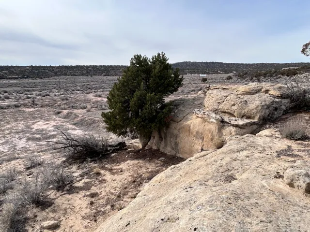 Expansive open landscape featuring natural rock formations and scattered evergreen trees