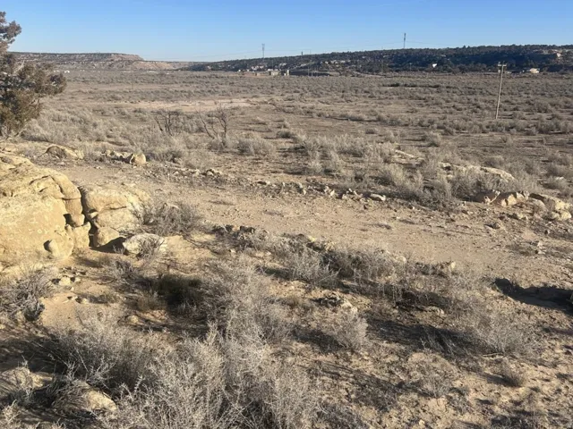Expansive desert landscape featuring natural rock formations, scattered dry brush, and a distant elevated horizon