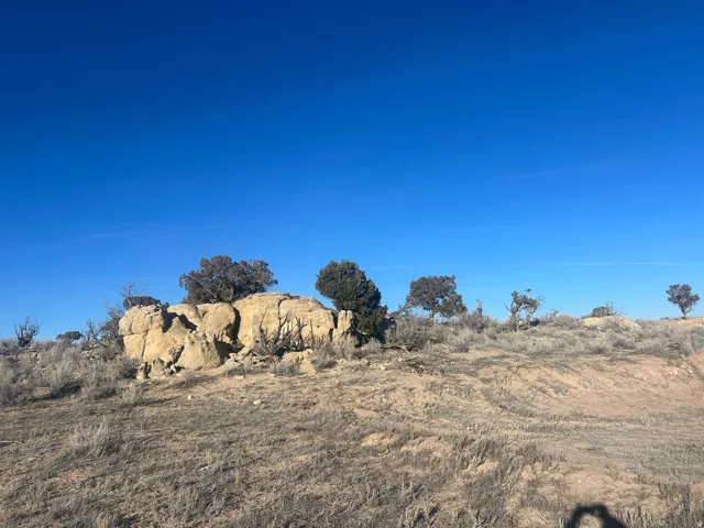 Natural rock formations with sparse shrubbery and trees