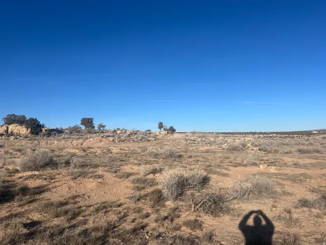 Expansive desert landscape with natural rock formations, scattered brush, and distant trees under a clear blue sky