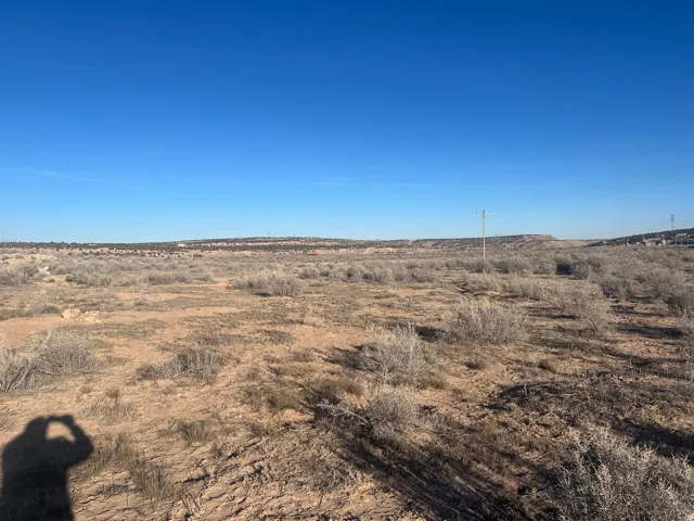 Expansive desert landscape featuring natural brush and clear skies