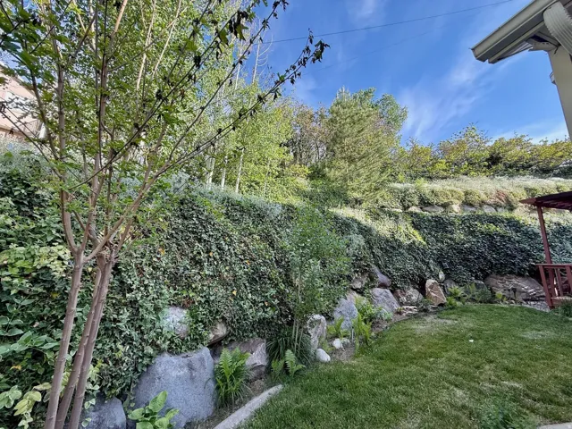 Expansive terraced yard with a lush green lawn, mature trees, and a rock retaining wall covered in ivy