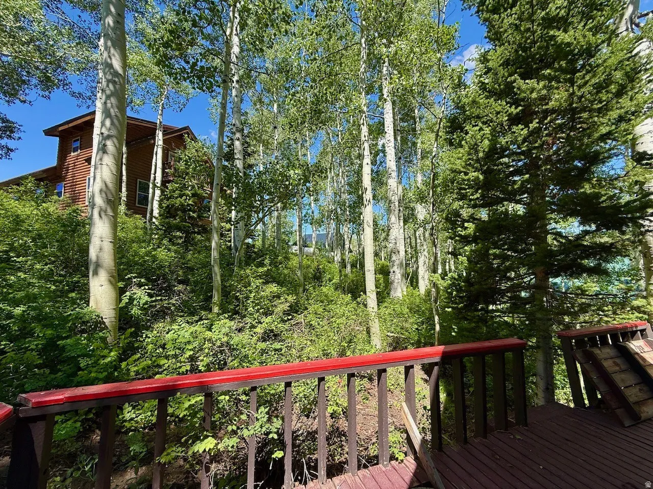 Wood-sided property with multiple windows, set amidst a dense natural landscape of mature deciduous and evergreen trees
