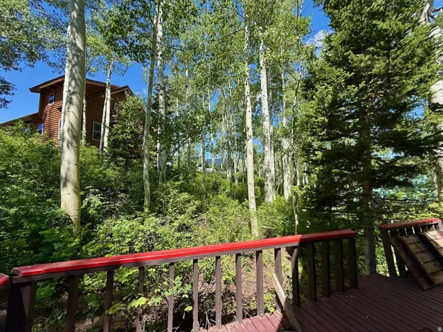 Wood-sided property with multiple windows, set amidst a dense natural landscape of mature deciduous and evergreen trees