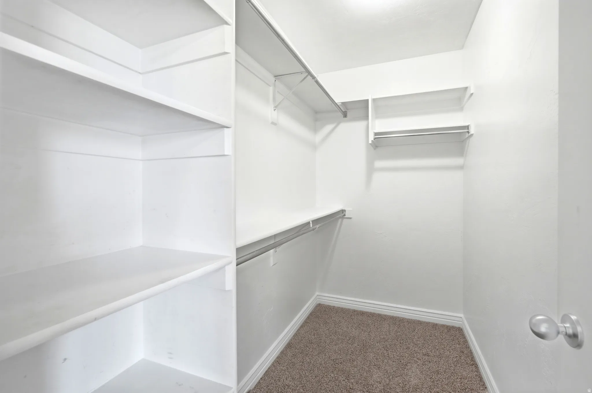 Walk-in closet featuring built-in shelving, multiple hanging rods, white walls, white baseboards, and carpet flooring