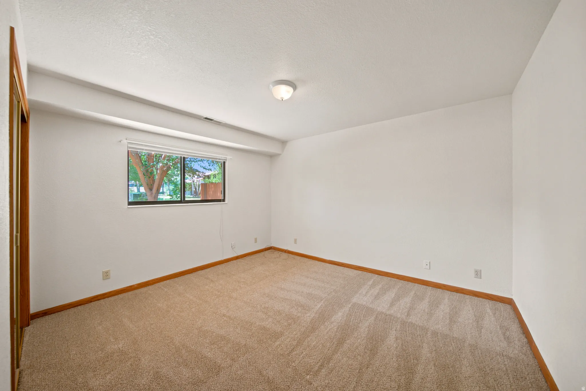 Neutral tone carpet flooring with wood-finish baseboards