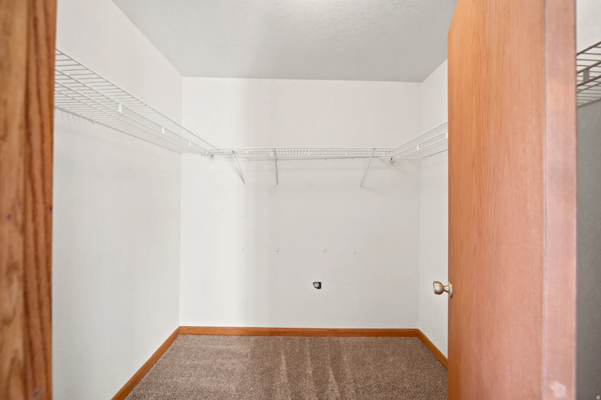 Walk-in closet featuring white wire shelving, light brown carpeting, white walls, and a wood-finish door with a brass-finish doorknob