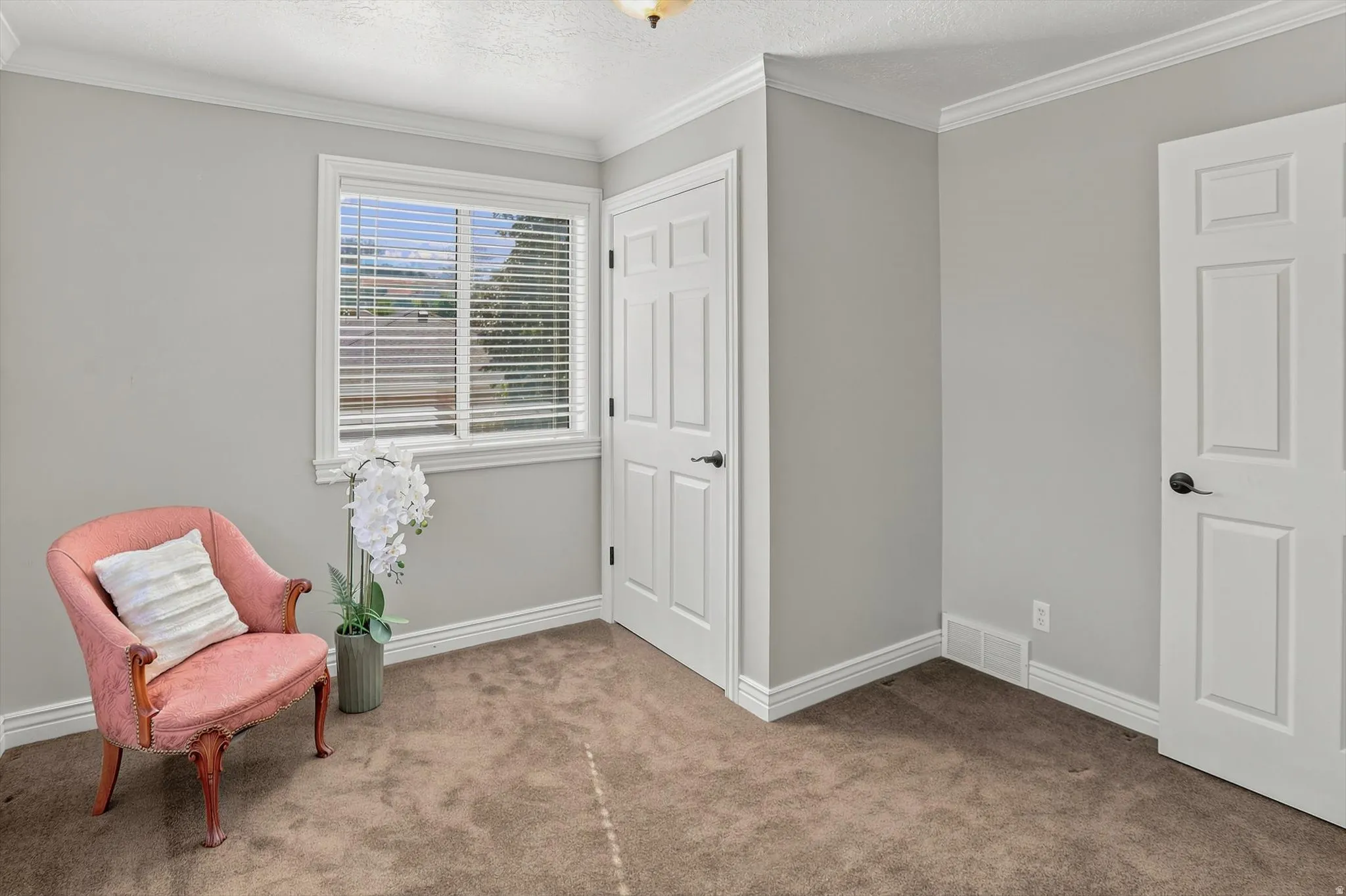Carpeted room featuring a window with horizontal blinds, white crown molding, white baseboards, and two white paneled doors with black hardware