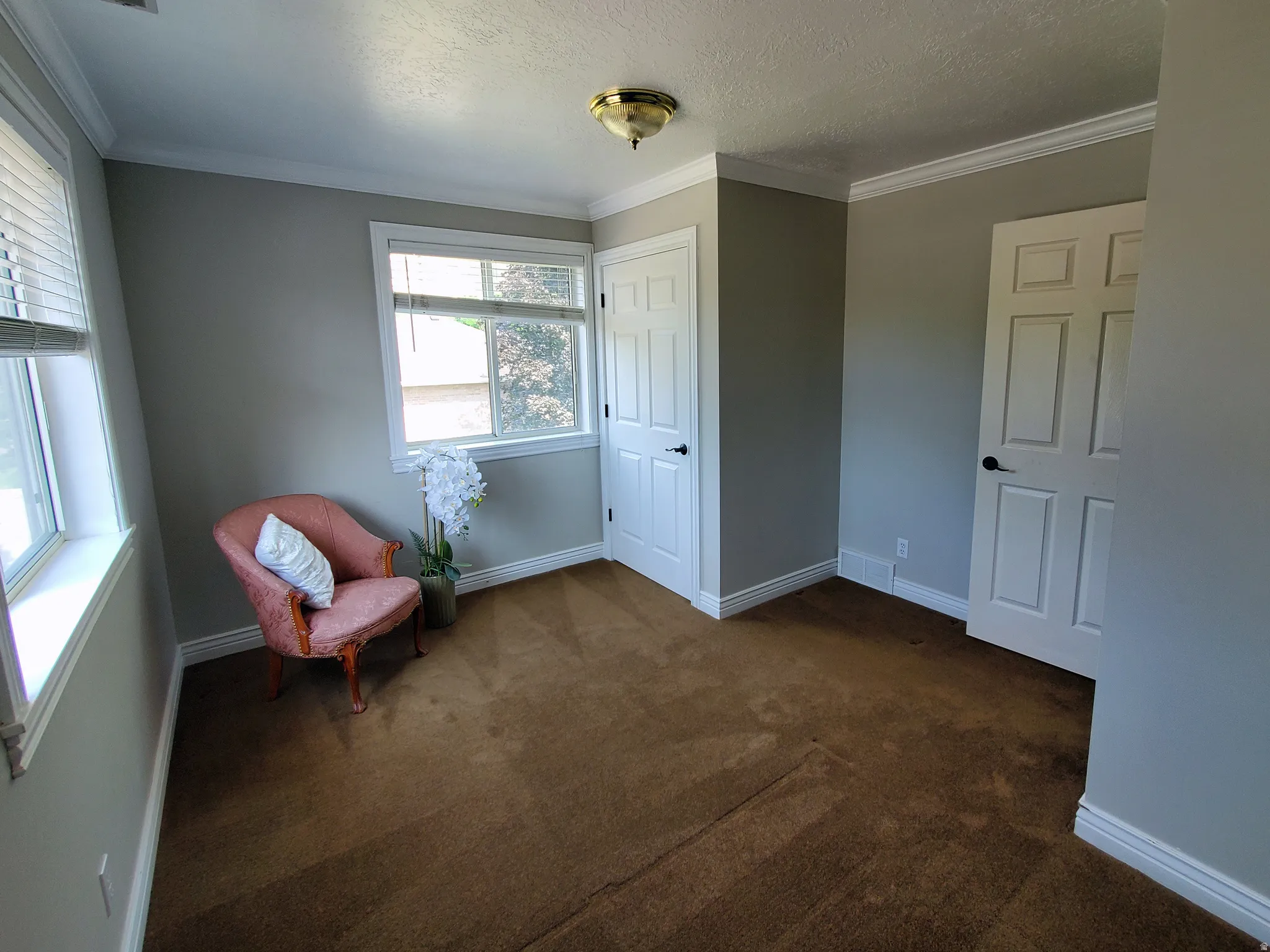Inviting room featuring two windows with blinds, crown molding, two paneled doors with black hardware, and brown carpeting
