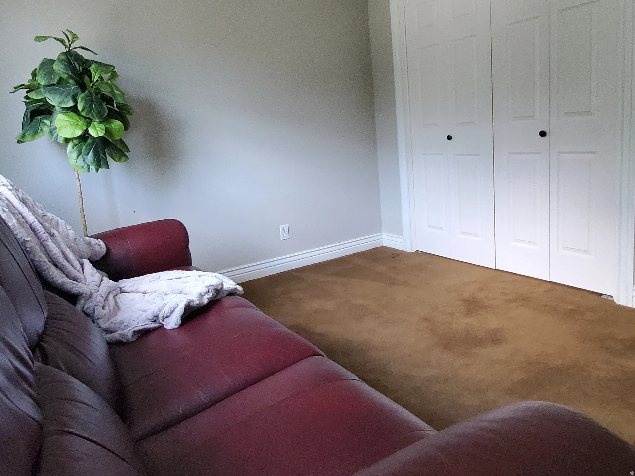 Room featuring light gray walls and brown carpet flooring