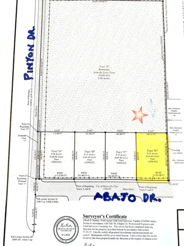 Surveyor's Certificate. Depicting property lines, tract divisions, and survey details