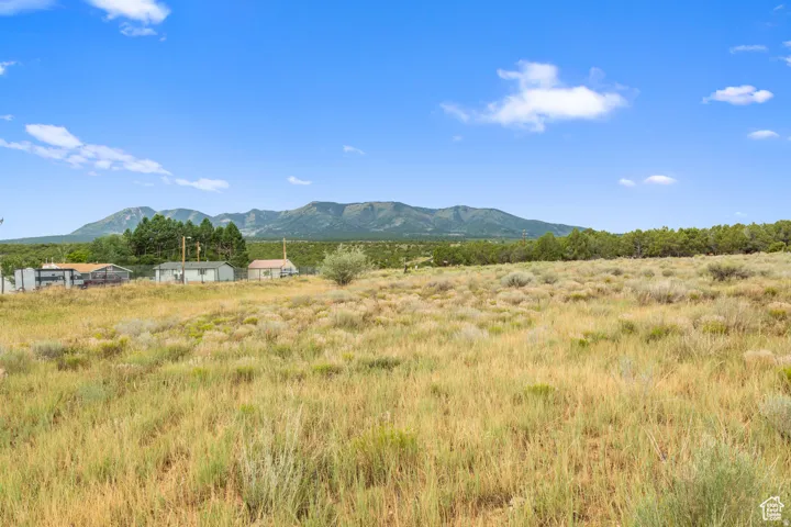 Unit D, Monticello, Utah 84535