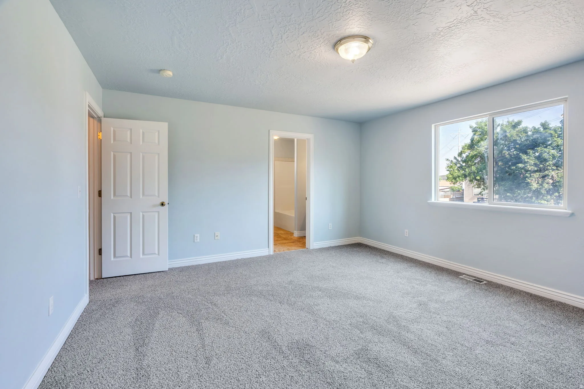 Spacious room featuring light blue walls, gray carpet, a multi-pane window with white trim, a six-panel interior door, and a flush-mount ceiling light