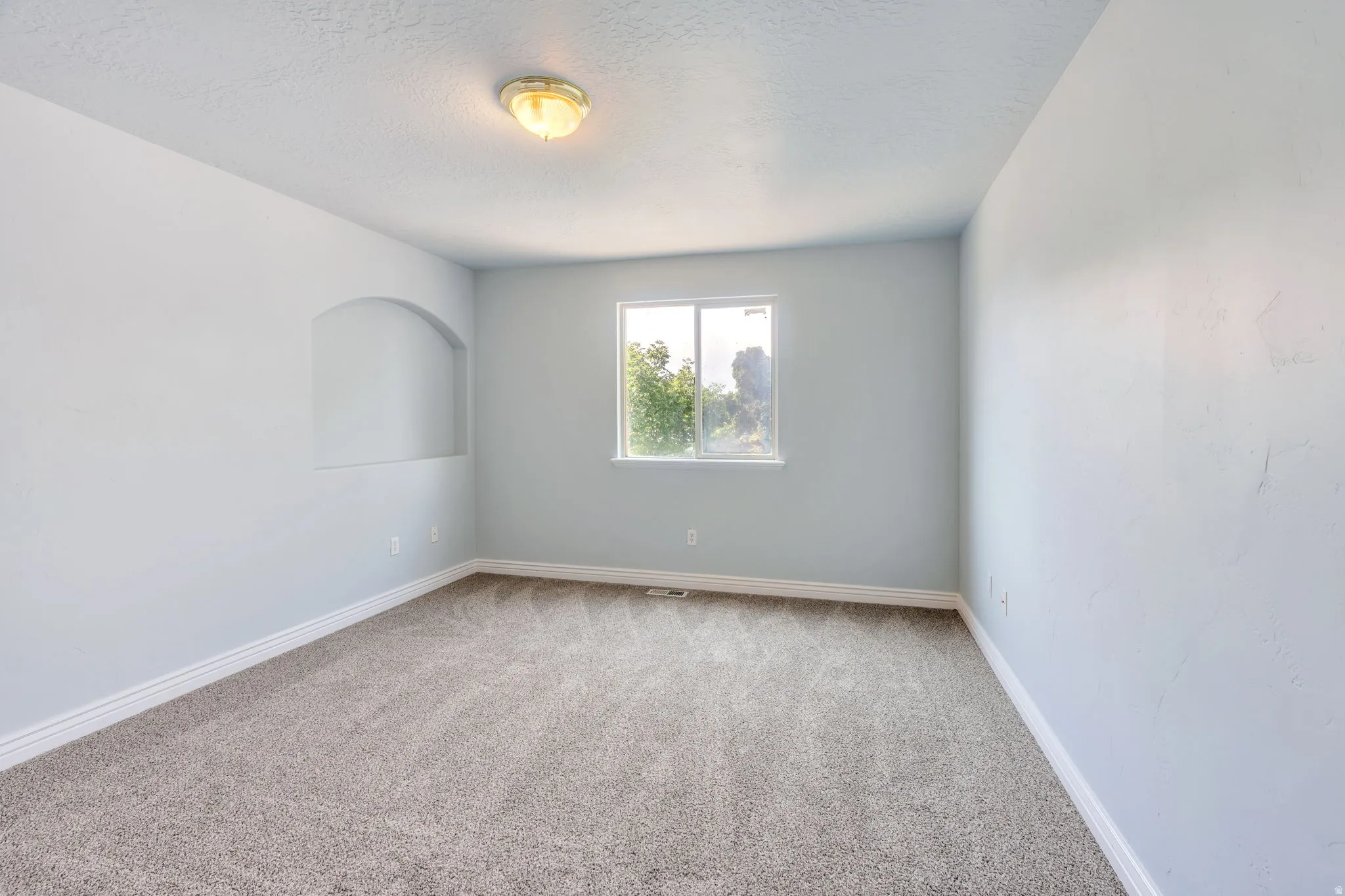 Carpeted room featuring a light fixture, a recessed wall niche, a window with outdoor greenery, and white baseboards