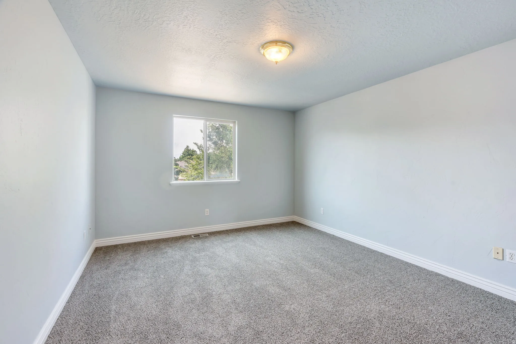 Neutral-toned room featuring a window with exterior foliage, textured ceiling, and gray carpeting