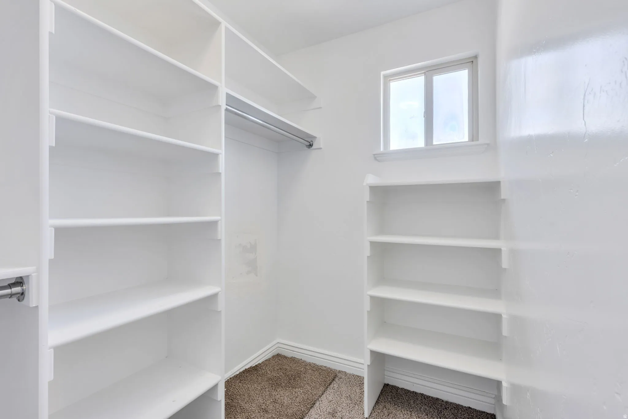 Walk-in closet featuring extensive white shelving, multiple hanging rods, a window, and carpet flooring
