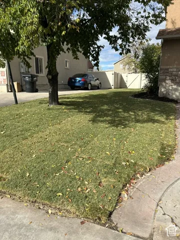 Manicured front lawn featuring a mature deciduous tree and concrete driveway