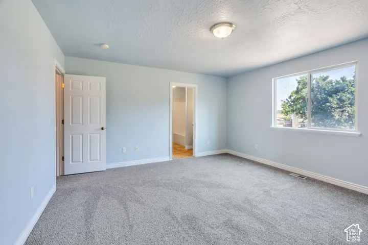 Spacious room featuring light blue walls, gray carpet, a multi-pane window with white trim, a six-panel interior door, and a flush-mount ceiling light