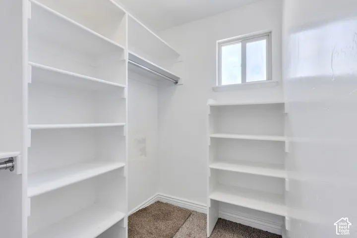 Walk-in closet featuring extensive white shelving, multiple hanging rods, a window, and carpet flooring