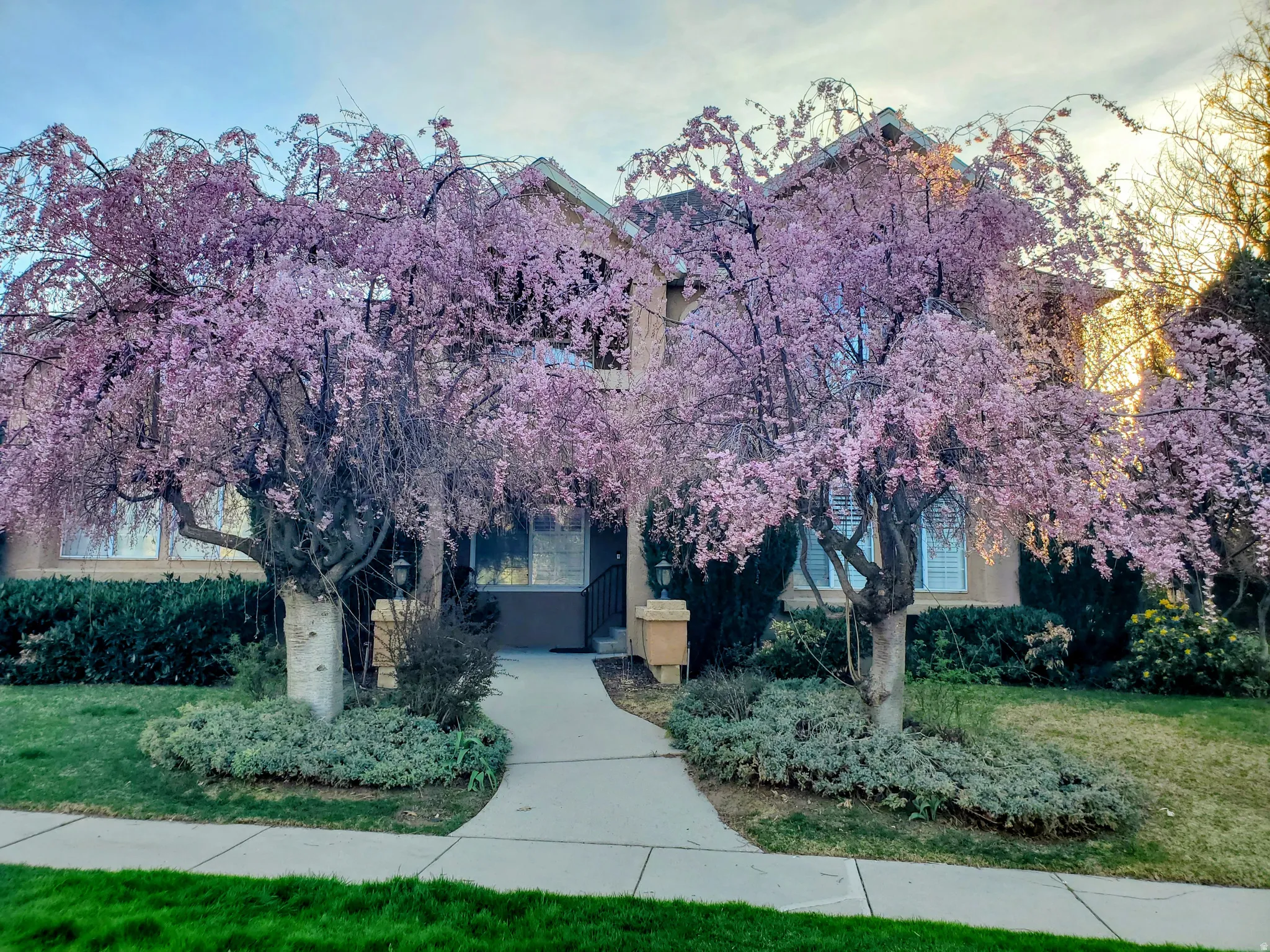 Front of home in Spring