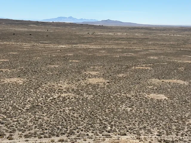 1 Emigrant Trl Rd, Park Valley, Utah 84329