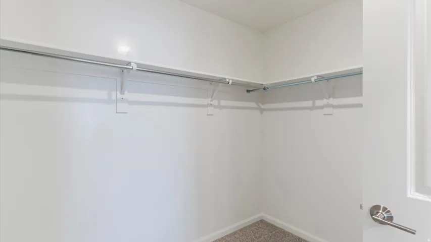Walk-in closet featuring white walls, metal hanging rods, and neutral-toned carpeting