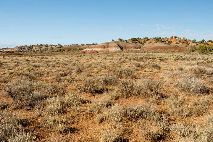 Expansive terrain featuring varied low-lying vegetation and distant rolling hills